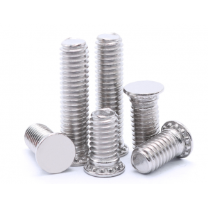 Stainless steel rivet screws